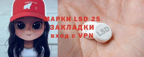 прущие грибы Абинск