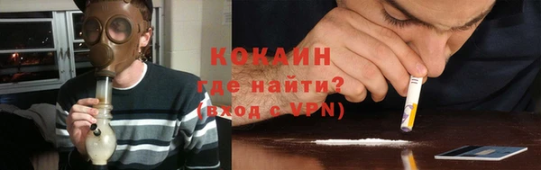 прущие грибы Абинск