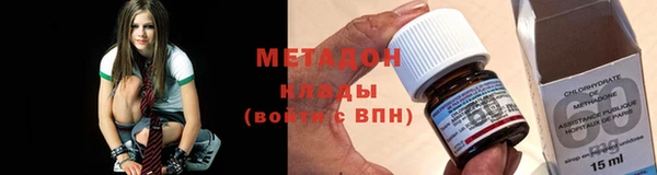 прущие грибы Абинск