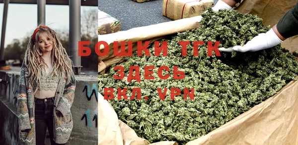 прущие грибы Абинск