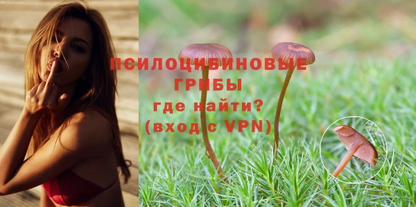 сатива Абаза