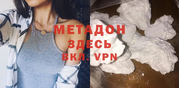 прущие грибы Абинск