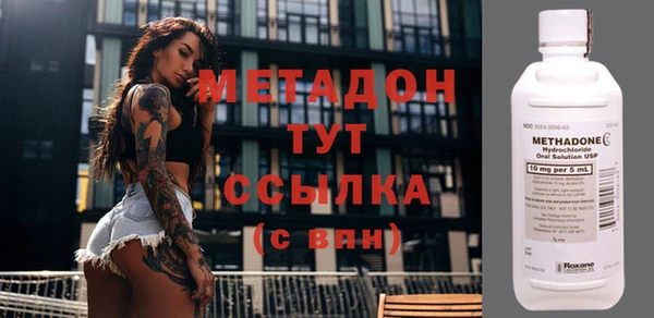 прущие грибы Абинск