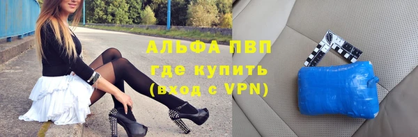 прущие грибы Абинск